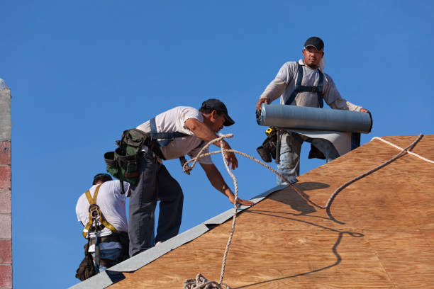 Best Roof Gutter Cleaning  in Siesta Acres, TX