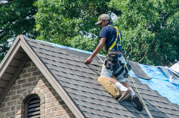 Best Storm Damage Roof Repair  in Siesta Acres, TX
