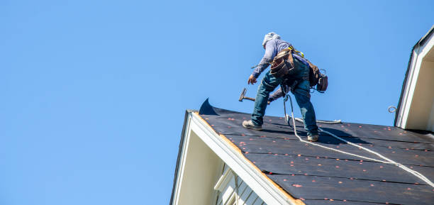 Best Storm Damage Roof Repair  in Siesta Acres, TX